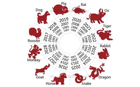 二十生肖|Chinese Zodiac: 12 Animal Signs and 2025 Horoscope Predictions